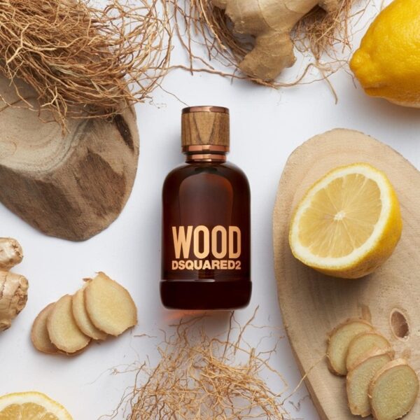 9DA5561A8A03EF4156B2C8B379151CFE_ Dsquared wood edt pour homme edt 100 ml