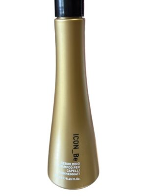 CA26B5D9C062477EE85A6EC0F3C1E440_ Icon_be shampoo rebuilding 250ml