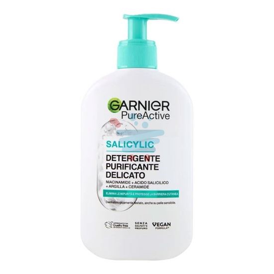 Garnier detergente purificante delicato 250 ml