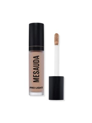 Mesauda pro light concealer n40