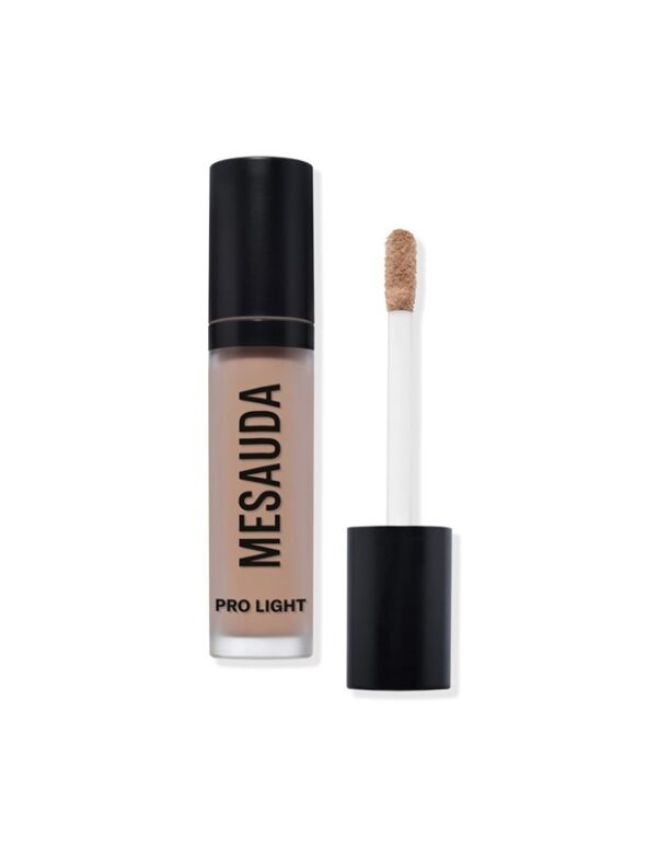 Mesauda pro light concealer n40