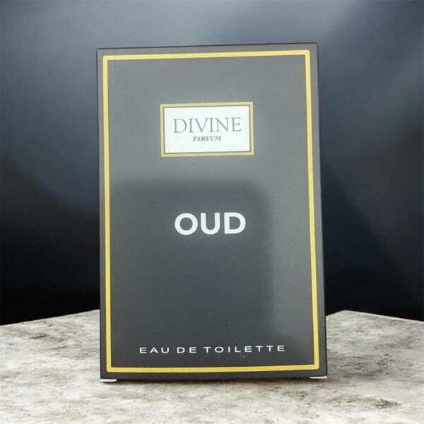 Divine parfum oud edt 100 ml