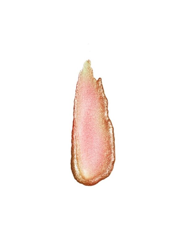 Mesauda galactic shadow 107