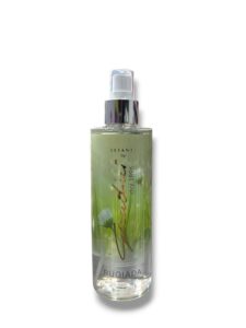 Gandini acqua profumata rugiada 100 ml
