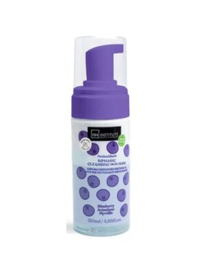 Idc institute skin food face cleanser mousse blueberry